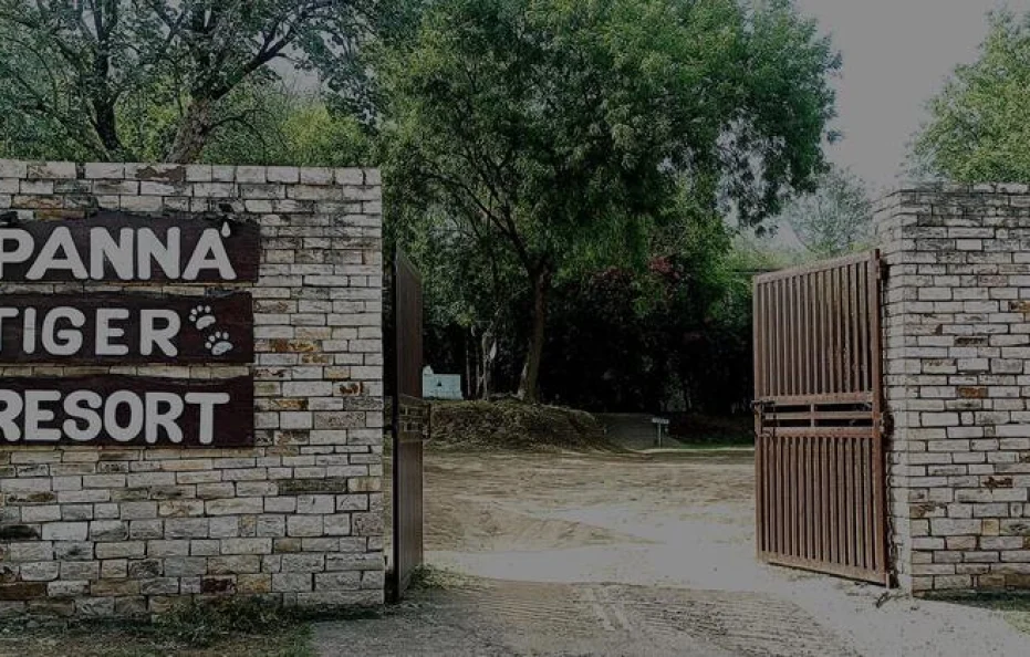 Panna Tiger Resort