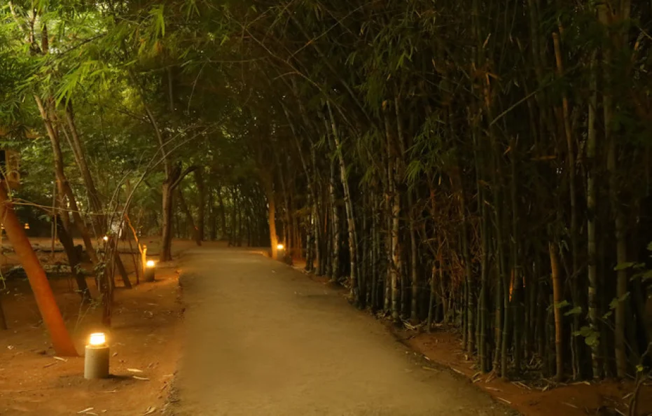 Panna Tiger Resort