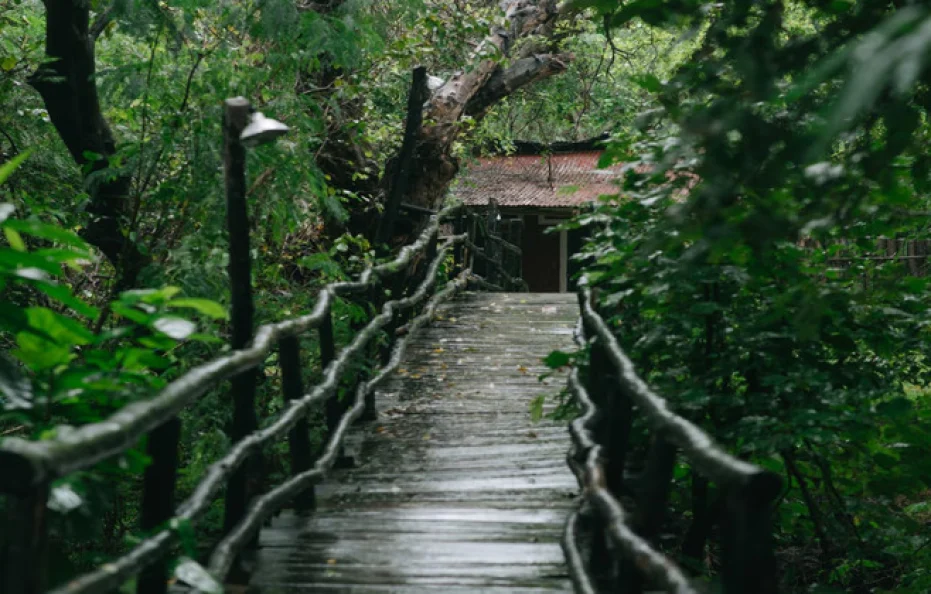 Ken River Lodge Panna