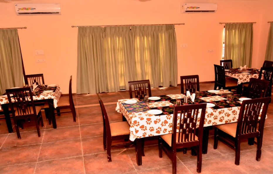MPT Jungle Camp, Panna