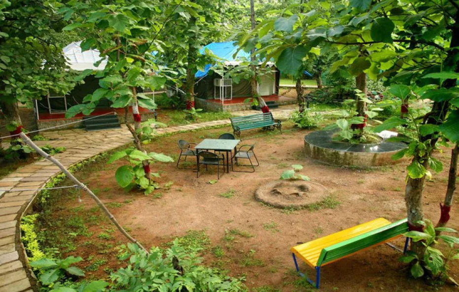 MPT Jungle Camp, Panna