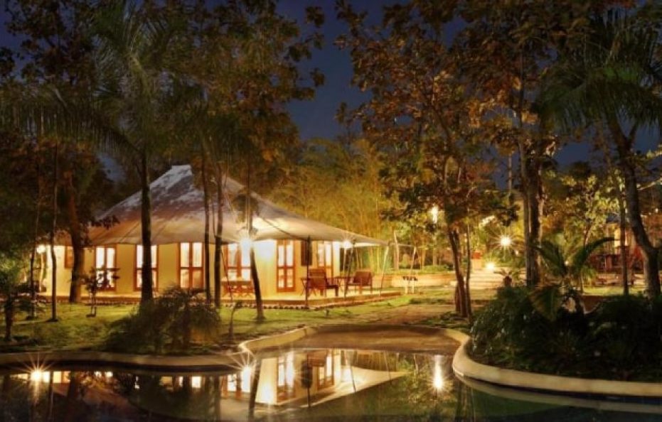 Tuli Tiger Resort