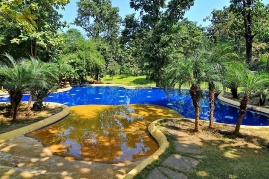 Tuli Tiger Resort