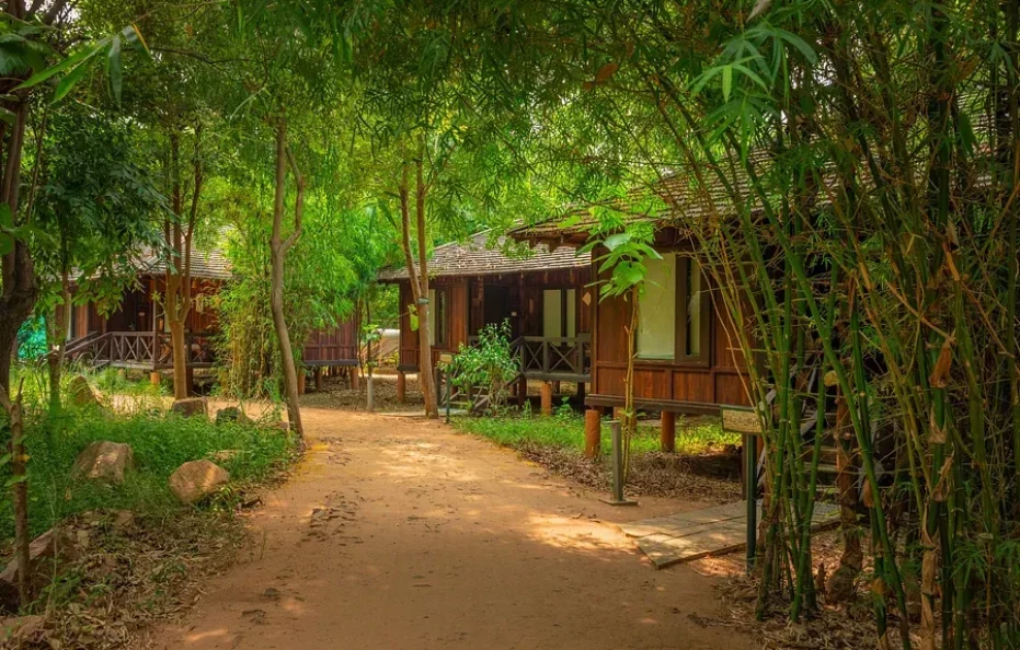 Tendu Huts