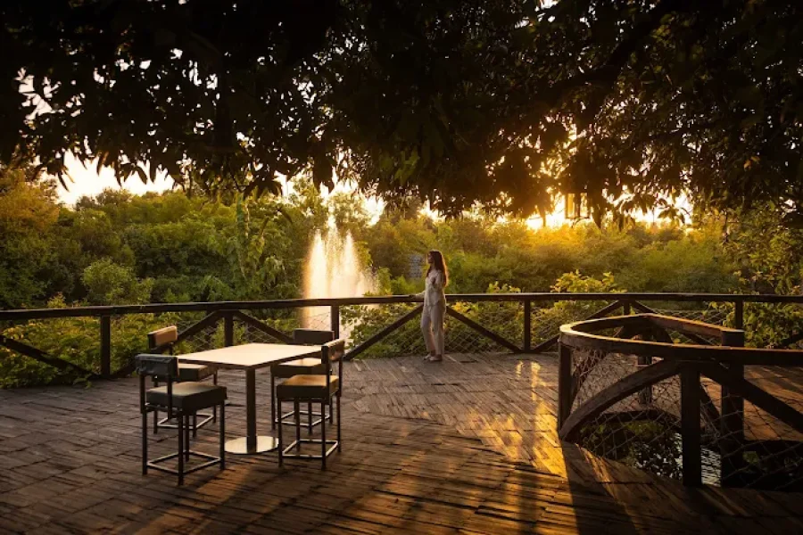 Tendu Leaf Jungle Resort Panna