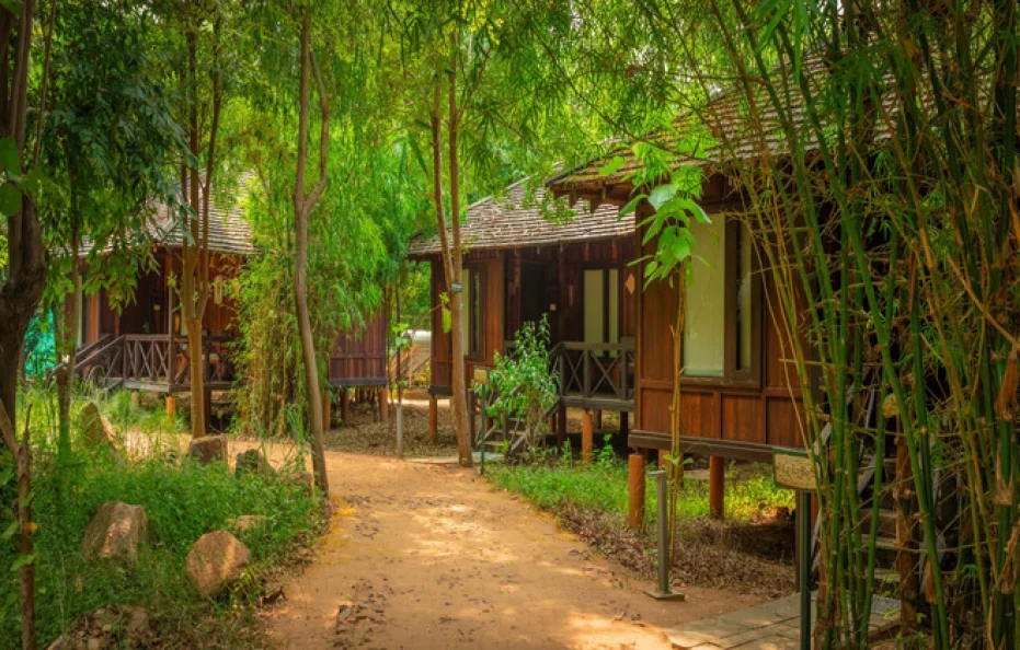 Tendu Leaf Jungle Resort Panna