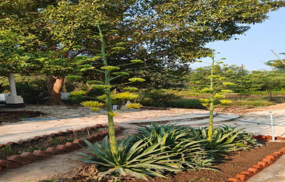Eriline Resorts Panna